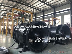 广东10kv高压全贯流潜水泵qgwz