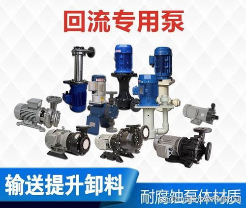 回流泵 废水处理回流泵