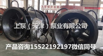 卧式全贯流泵在福建武夷山潜水贯流泵厂家的应用与发展