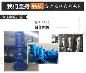 烟气循环脱硫泵与卧式全贯流泵的技术应用——以吉林华奥水泵厂为例